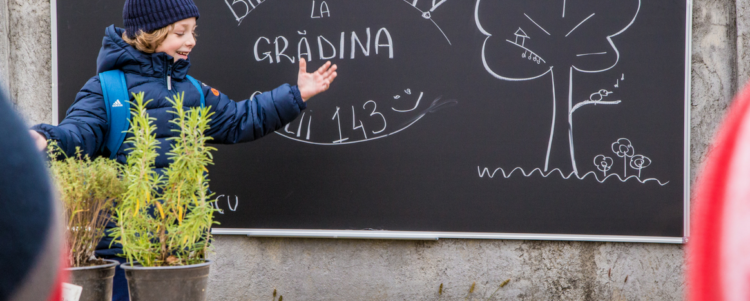 Grădinescu Grădina din Curtea Scolii 143- ICPR